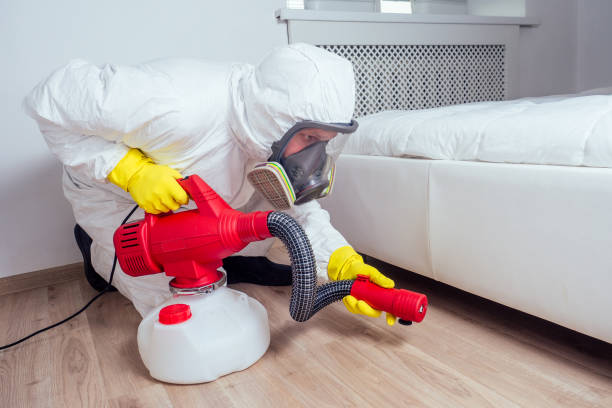 Professional Pest Control in Lodi, NJ